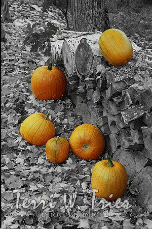 H-Pumpkins