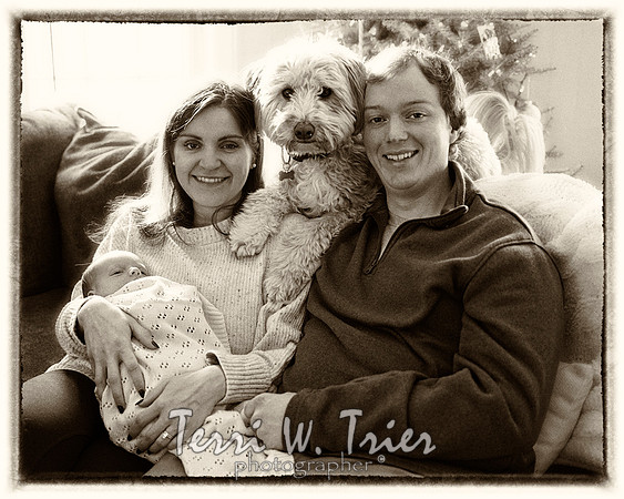 arnold10sepia