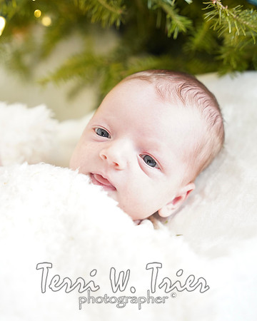 arnold23