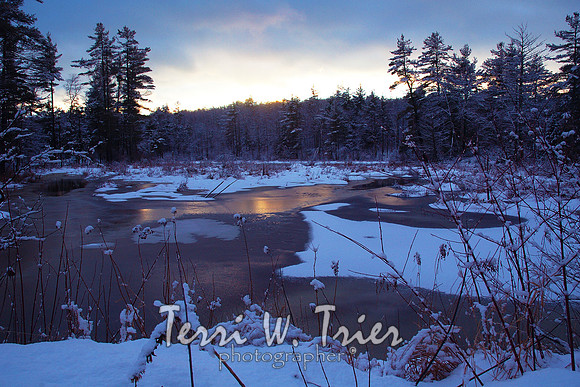 H-Winter Swamp