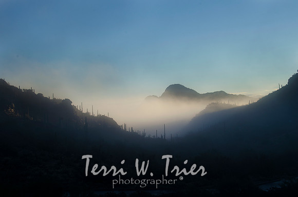 T-Tucson Dawn