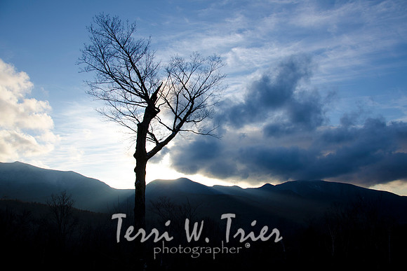 NE-White Mtns