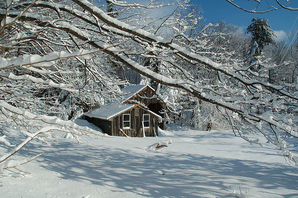 H-Craney Shack