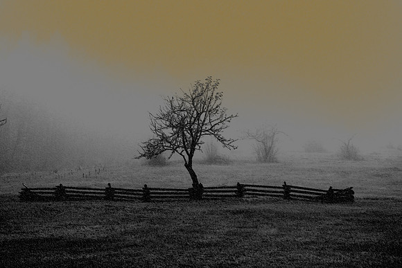 H-Field of Fog01