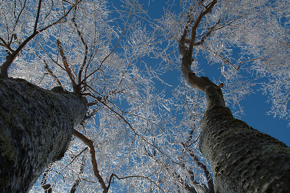 H-Ice Storm12