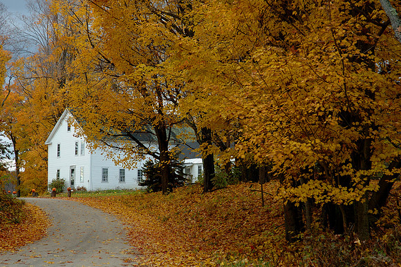 H-Quaker dist.