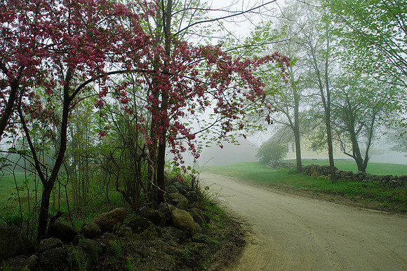 H-Spring Fog