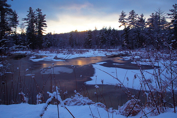 H-Winter Swamp