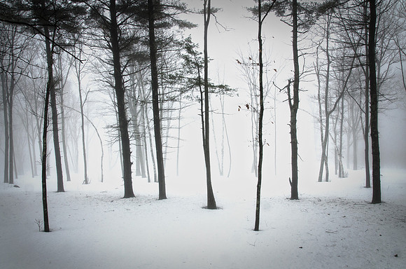 H-Winter White
