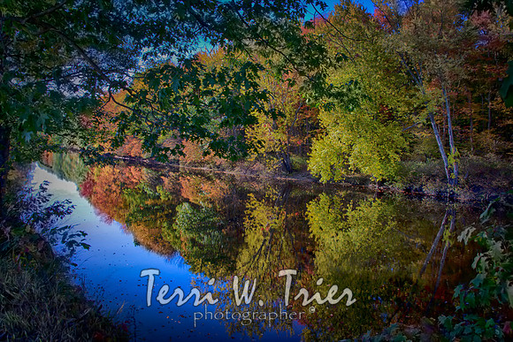 F-2015 fall09
