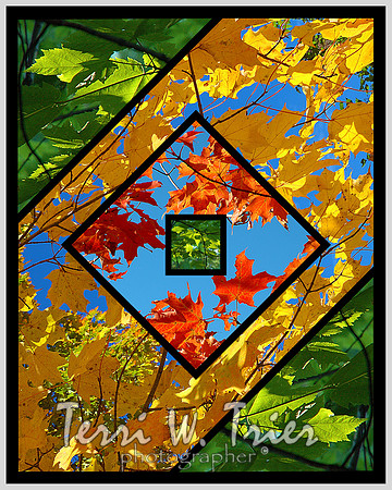 F-Leaf Collection