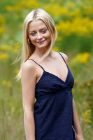 a15