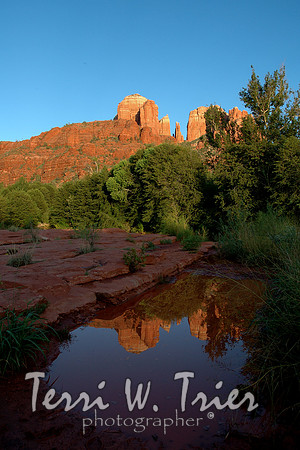 Arizona05