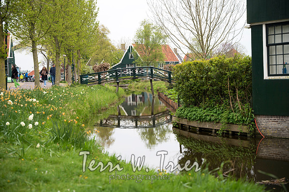 T-Netherlands01