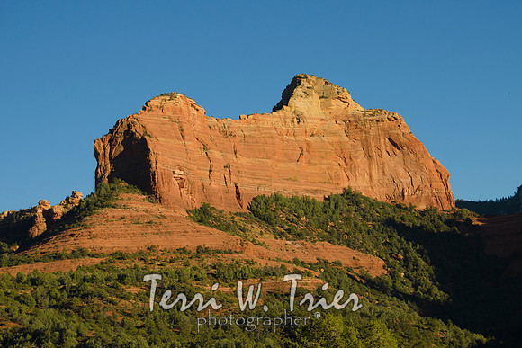 Arizona18