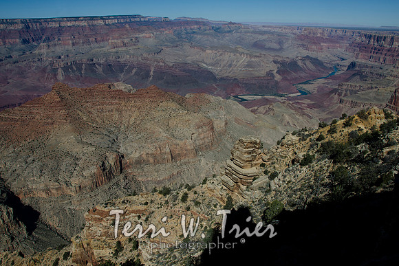 Arizona15