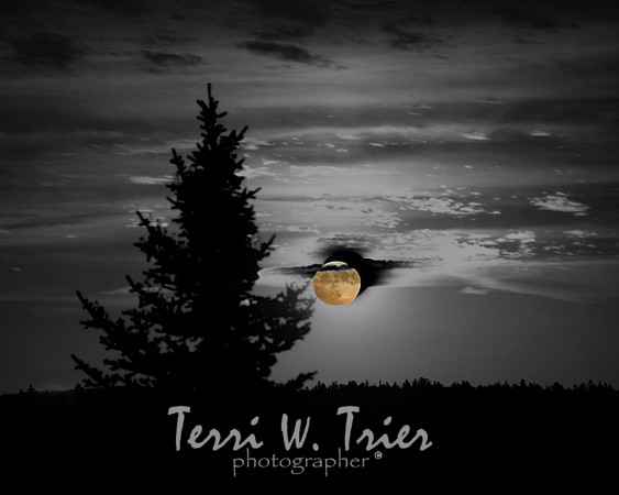 moon black and white new copy2