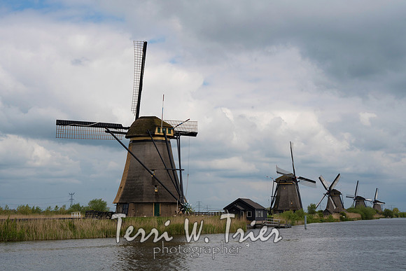 T-Netherlands11