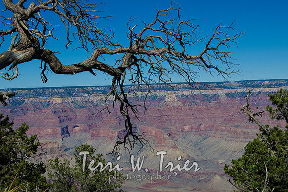 Arizona13