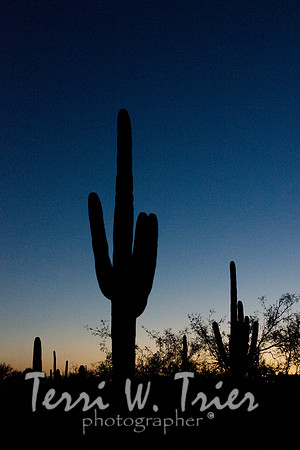 Arizona25