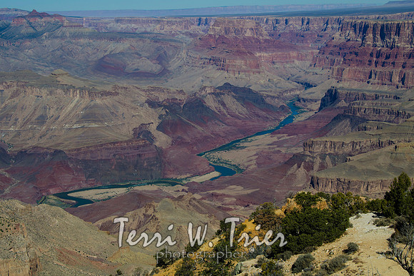 Arizona14