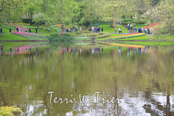 T-Netherlands06