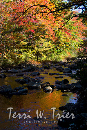 NE-White Mtns02