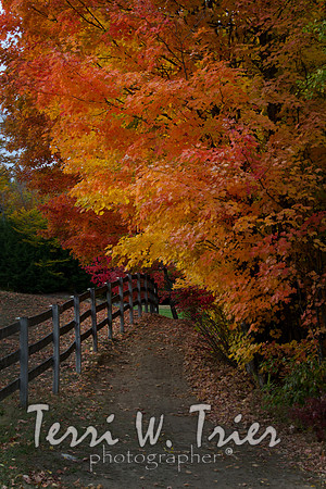 F-2016 fall04 11-1
