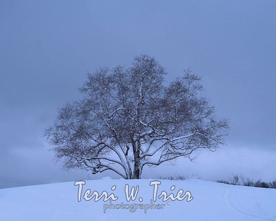 winter24 l