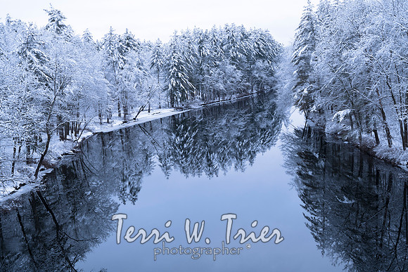 winter24 t