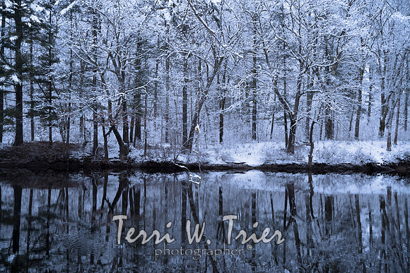 winter24 u