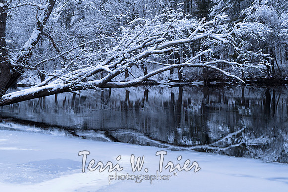 winter24 v