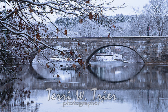 winter24 r
