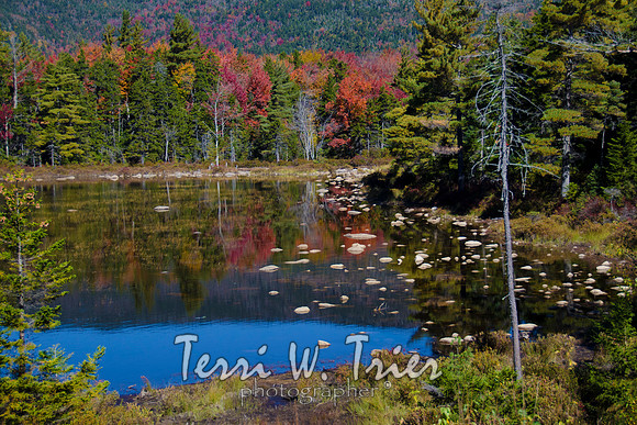 NE-White Mtns03
