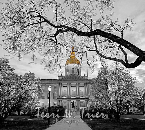 state house 2023 new blackandwhite