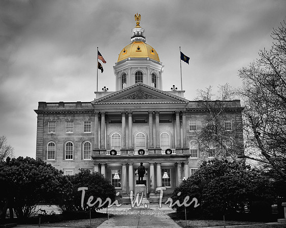 statehouse 01 blackandwhite